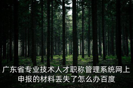 廣東省專業技術人才職稱管理系統網上申報的材料丟失了怎么辦百度