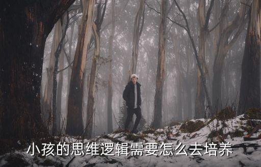 小孩的思維邏輯需要怎么去培養