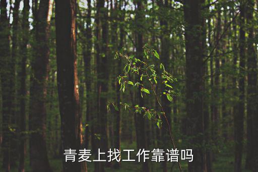 青麥上找工作靠譜嗎