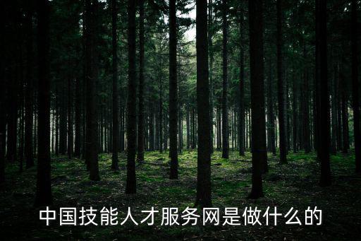 中國(guó)技能人才服務(wù)網(wǎng)是做什么的