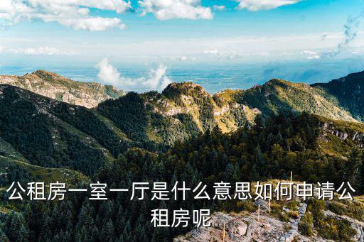 公租房一室一廳是什么意思如何申請公租房呢
