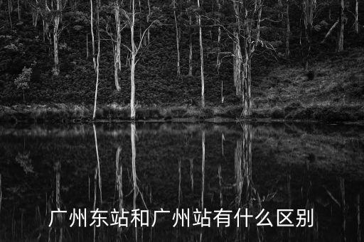 廣州東站和廣州站有什么區別
