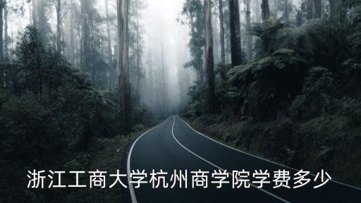 浙江工商大學(xué)杭州商學(xué)院學(xué)費(fèi)多少