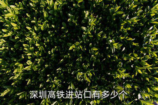 深圳高鐵進站口有多少個