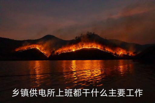 供電所，供電所是國有經濟還是集體經濟
