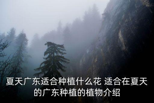 夏天廣東適合種植什么花 適合在夏天的廣東種植的植物介紹