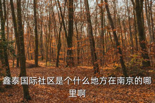 鑫泰國(guó)際社區(qū)是個(gè)什么地方在南京的哪里啊