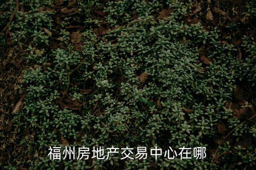 福州房地產交易中心在哪