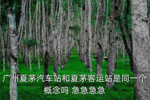 夏茅客運(yùn)站，廣州夏茅汽車站和夏茅客運(yùn)站是同一個(gè)概念嗎 急急急急