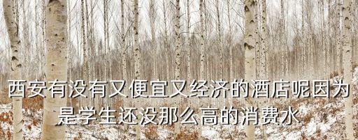 西安有沒有又便宜又經濟的酒店呢因為是學生還沒那么高的消費水