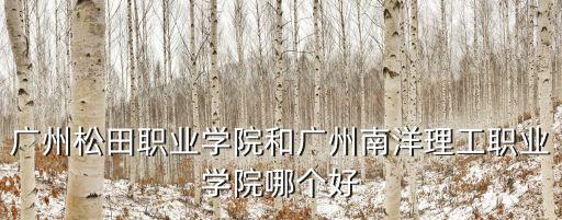 廣州松田職業學院和廣州南洋理工職業學院哪個好