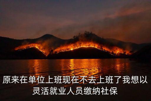 原來在單位上班現在不去上班了我想以靈活就業人員繳納社保