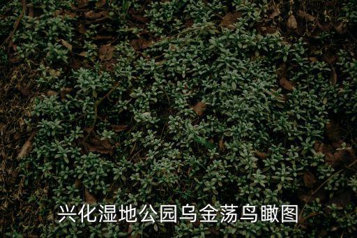 興化濕地公園烏金蕩鳥瞰圖