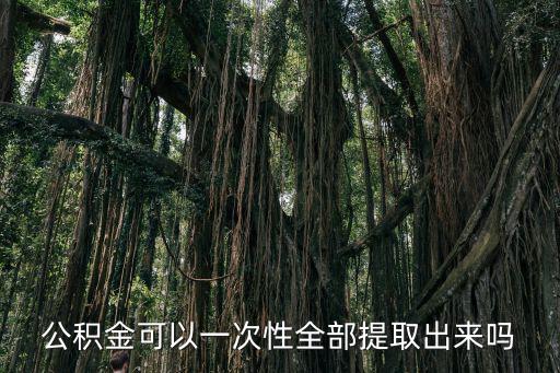 公積金可以一次性全部提取出來嗎