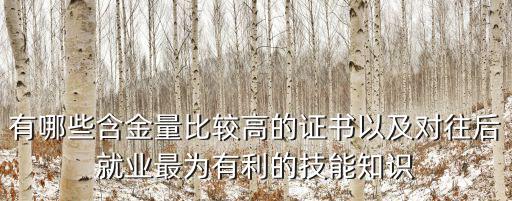 有哪些含金量比較高的證書以及對往后就業最為有利的技能知識