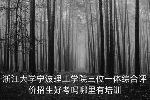 浙江大學寧波理工學院三位一體綜合評價招生好考嗎哪里有培訓