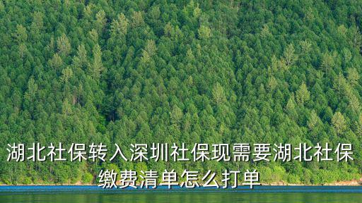 湖北社保，湖北社保轉入深圳社保現需要湖北社保繳費清單怎么打單