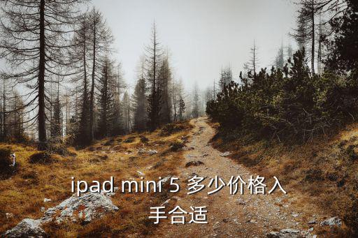 ipad mini 5 多少價格入手合適