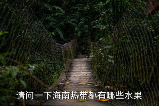 請問一下海南熱帶都有哪些水果