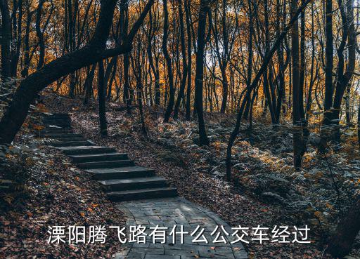 騰飛路，漳州騰飛路在哪