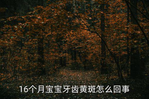 16個月寶寶牙齒黃斑怎么回事