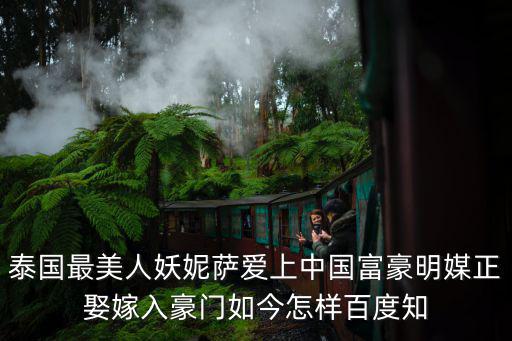泰國最美人妖妮薩愛上中國富豪明媒正娶嫁入豪門如今怎樣百度知