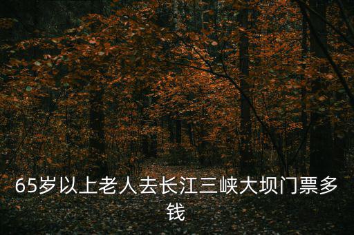 三峽大壩門票，三峽大壩不要門票但要車費(fèi)35