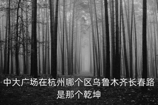中大廣場，浙江省杭州市下城區中大廣場郵編是什么