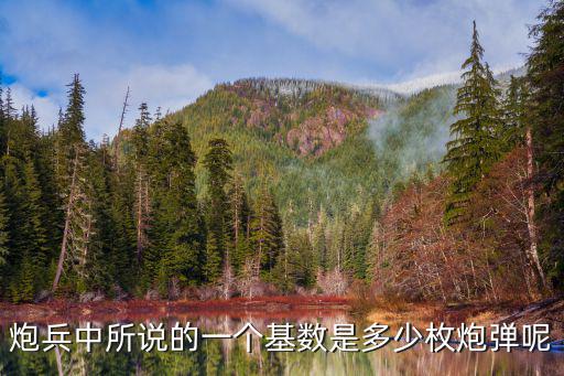 炮兵中所說的一個基數(shù)是多少枚炮彈呢