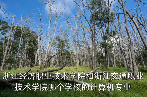 浙江經濟職業技術學院和浙江交通職業技術學院哪個學校的計算機專業