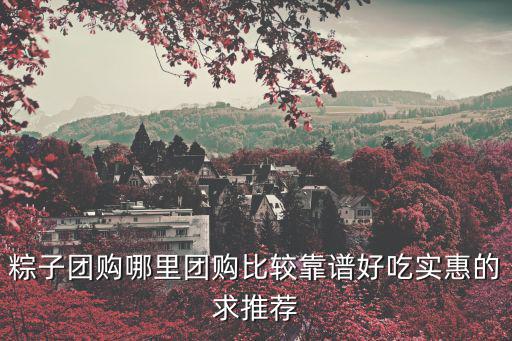 粽子團購，粽子團購哪里團購比較靠譜好吃實惠的求推薦