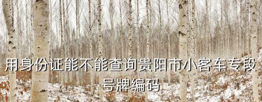 小客車查詢，用身份證能不能查詢貴陽市小客車專段號牌編碼