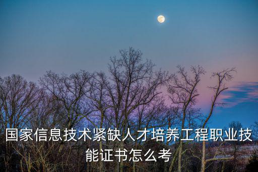 國家信息技術緊缺人才培養工程職業技能證書怎么考