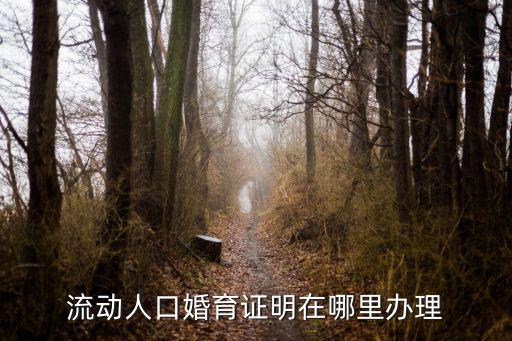 婚育證明在哪里開，流動人口婚育證明在哪里辦理