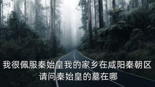 我很佩服秦始皇我的家鄉在咸陽秦朝區 請問秦始皇的墓在哪