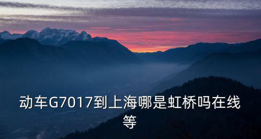 動(dòng)車G7017到上海哪是虹橋嗎在線等