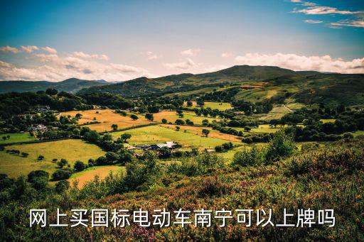 電動車網(wǎng)上上牌，網(wǎng)上買國標(biāo)電動車南寧可以上牌嗎