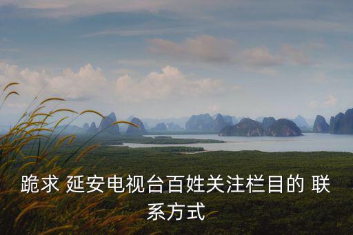 延安電視臺，跪求 延安電視臺百姓關注欄目的 聯系方式