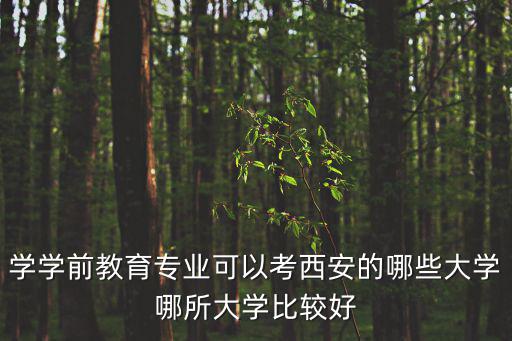 學學前教育專業可以考西安的哪些大學哪所大學比較好
