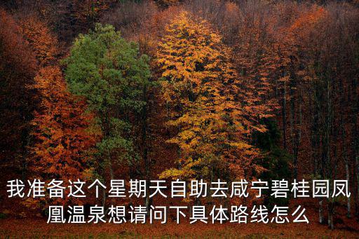 我準(zhǔn)備這個(gè)星期天自助去咸寧碧桂園鳳凰溫泉想請(qǐng)問(wèn)下具體路線怎么