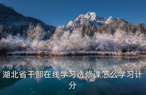 湖北省干部在線學習選修課怎么學習計分