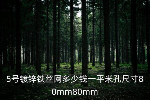 5號鍍鋅鐵絲網多少錢一平米孔尺寸80mm80mm
