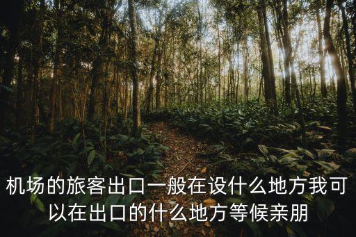 機場平面圖，機場的旅客出口一般在設什么地方我可以在出口的什么地方等候親朋
