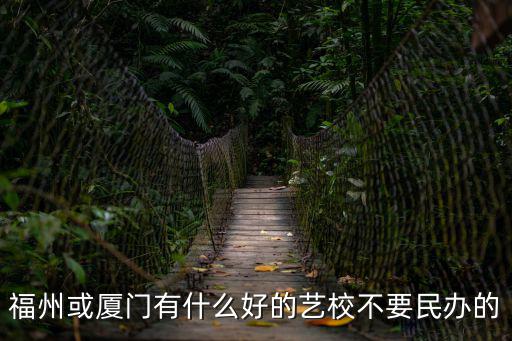 福州或廈門有什么好的藝校不要民辦的