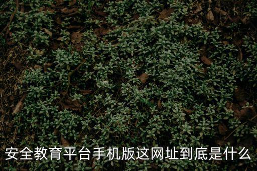 浙江安全教育平臺，安全教育平臺為啥一直是未完成有時間限制嗎