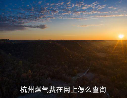 杭州煤氣費在網上怎么查詢