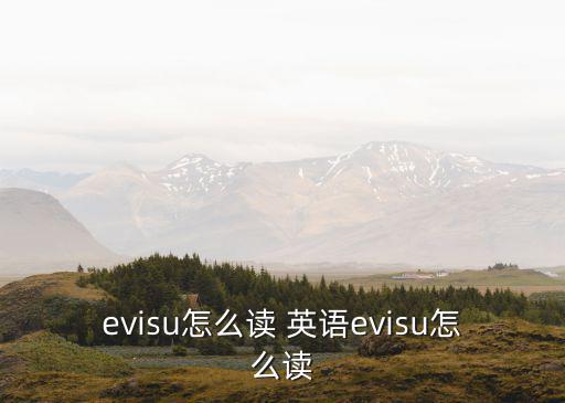 evisu怎么讀 英語evisu怎么讀