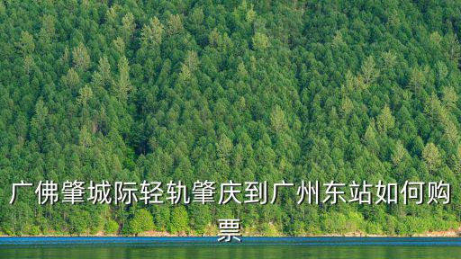 廣佛肇城際輕軌肇慶到廣州東站如何購票