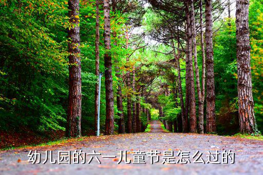幼兒園的六一兒童節(jié)是怎么過的