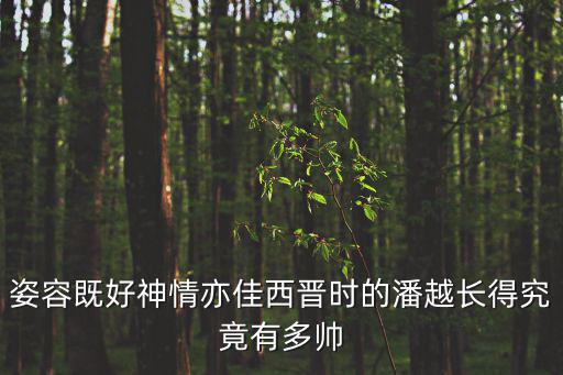 姿容既好神情亦佳西晉時的潘越長得究竟有多帥